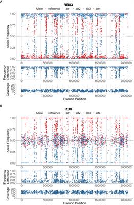 Genome resources and whole genome resequencing of Phytophthora rubi isolates from red raspberry